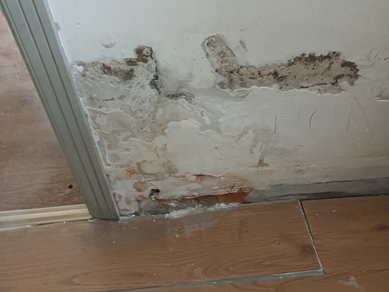 一樓墻面潮濕起皮脫落怎么處理？墻面為什么會起皮脫落？(圖4)