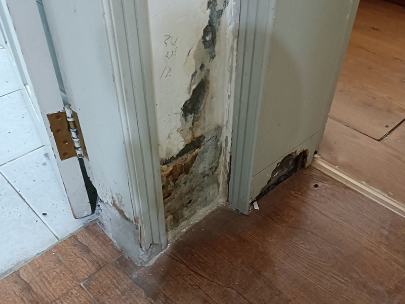 墻壁返潮發(fā)霉怎么處理(圖5) 墻壁返潮發(fā)霉怎么處理(圖5)