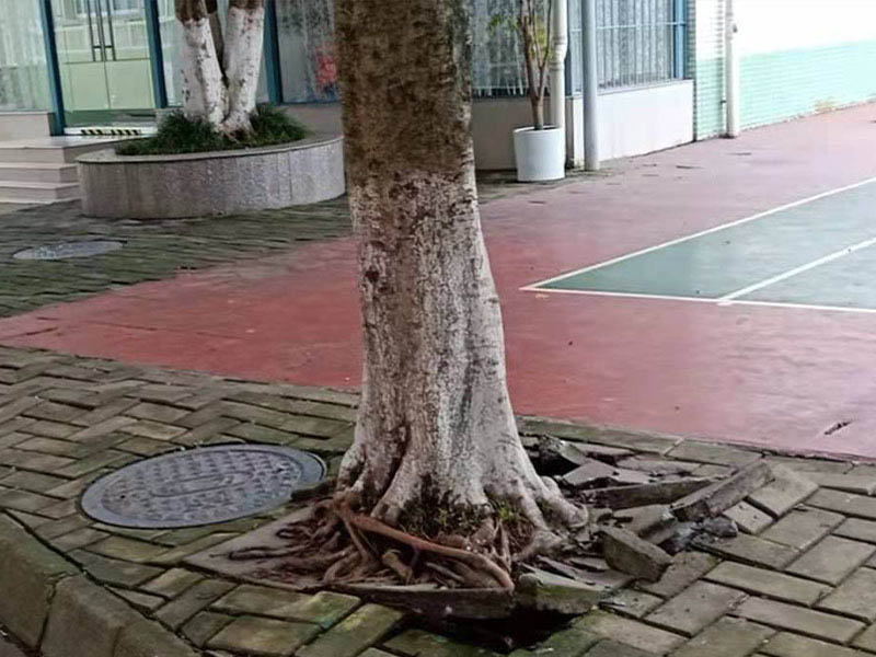 老小區(qū)翻新裝修(圖5) 老小區(qū)翻新裝修(圖5)