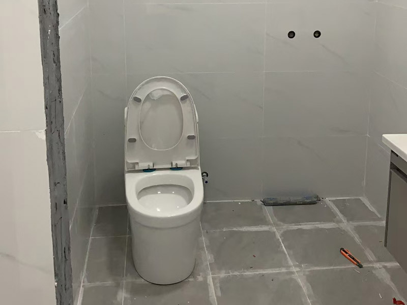 衛(wèi)生間馬桶瓷磚縫隙滲水怎么處理好(圖2) 衛(wèi)生間馬桶瓷磚縫隙滲水怎么處理好(圖2)