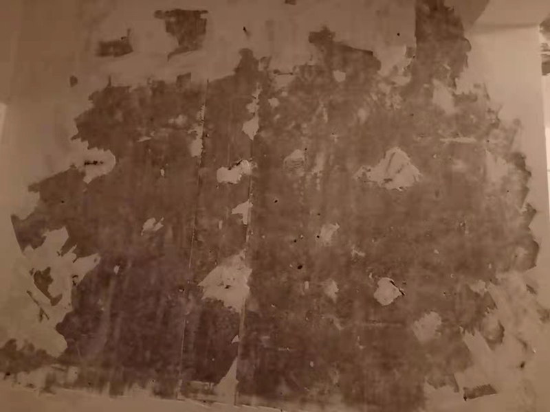 2022年裝修墻面用什么好？2022年墻面流行的材料